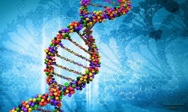 Радиация влияет на структуру ДНК и проявляется через много лет