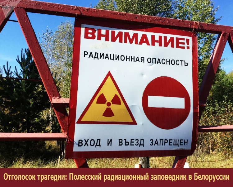 Отголосок трагедии: Полесский радиационный заповедник в Белоруссии