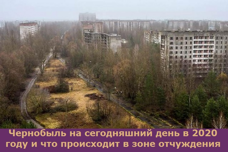 Чернобыль на сегодняшний день в 2020 году и что происходит в зоне отчуждения
