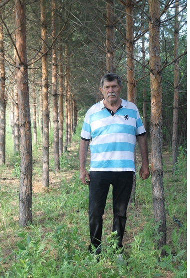 Волгоградец высадил сосновый бор в память о 120 чернобыльцах