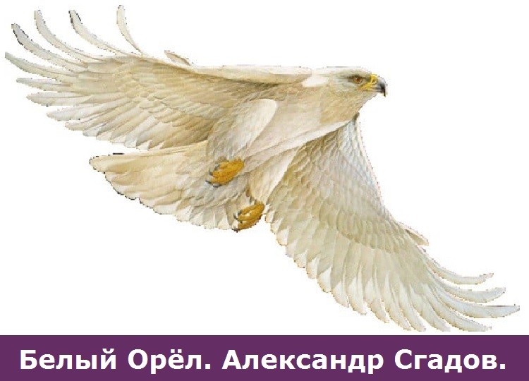Белый Орёл Александр Сгадов