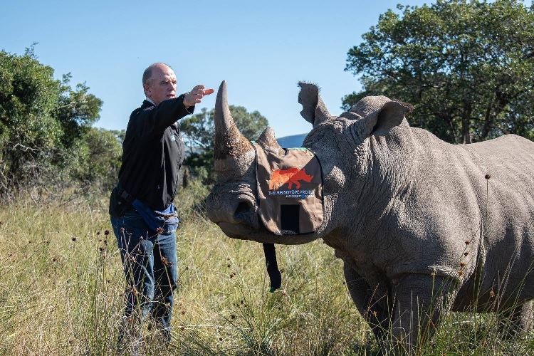 Радиоактивные носороги: животных попытаются спасти с помощью атомных технологий
