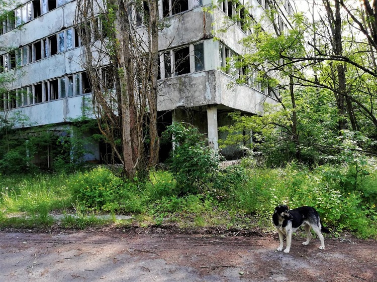 В Чернобыльскую зону – на электричке: отправная точка Славутич