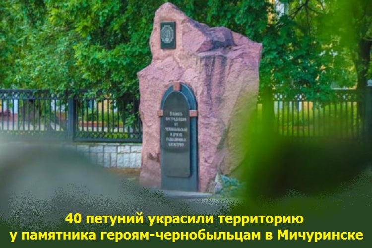 40 петуний украсили территорию у памятника героям-чернобыльцам в Мичуринске