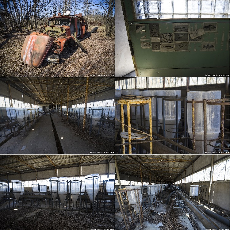 Секретная лаборатория в Чернобыле.