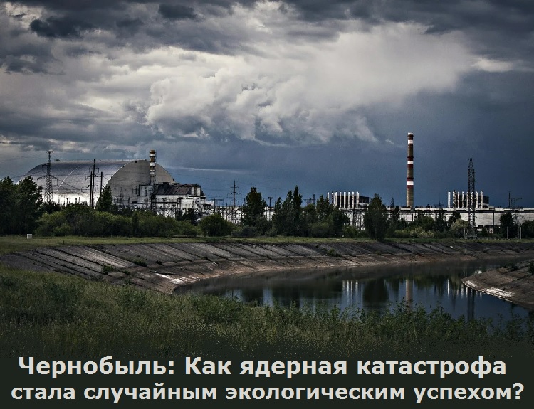 Чернобыль: Как ядерная катастрофа стала случайным экологическим успехом?