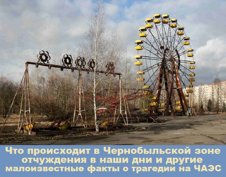 Что происходит в Чернобыльской зоне отчуждения в наши дни и другие малоизвестные факты о трагедии на ЧАЭС