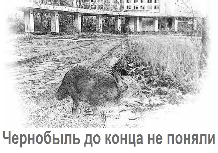 Чернобыль до конца не поняли