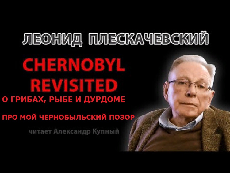 CHERNOBYL REVISITED, про мой чернобыльский позор, о грибах, рыбе и дурдоме