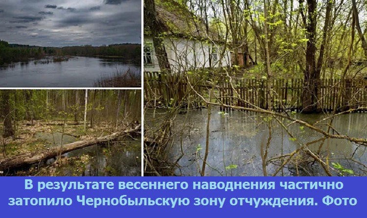 В результате весеннего наводнения частично затопило Чернобыльскую зону отчуждения. 