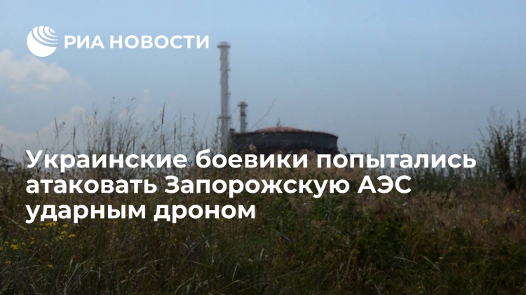 Украинские боевики попытались атаковать Запорожскую АЭС ударным дроном