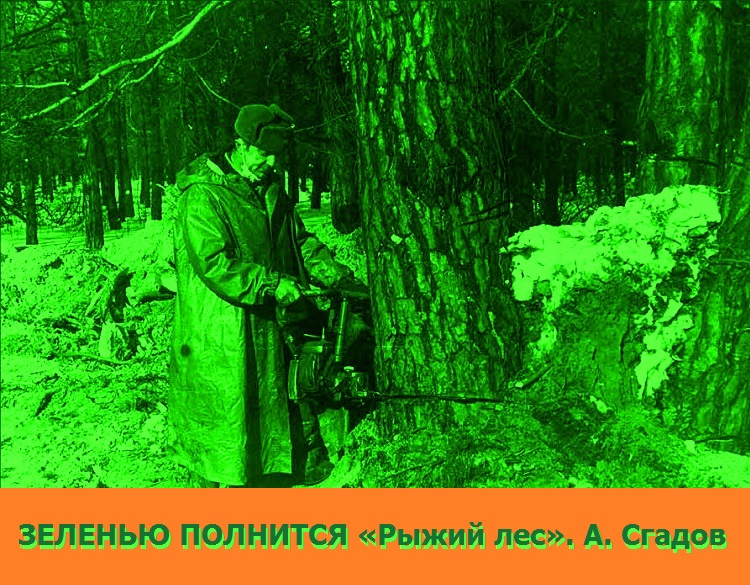 ЗЕЛЕНЬЮ ПОЛНИТСЯ «Рыжий лес». А. Сгадов