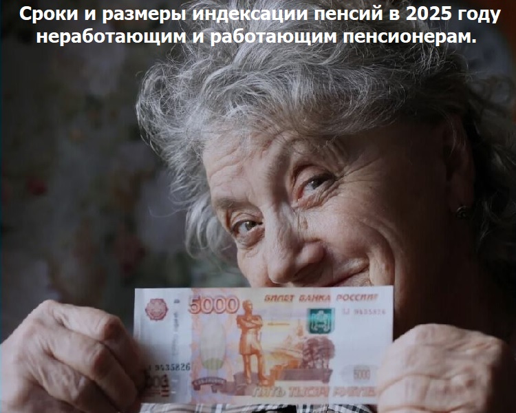       2025     .