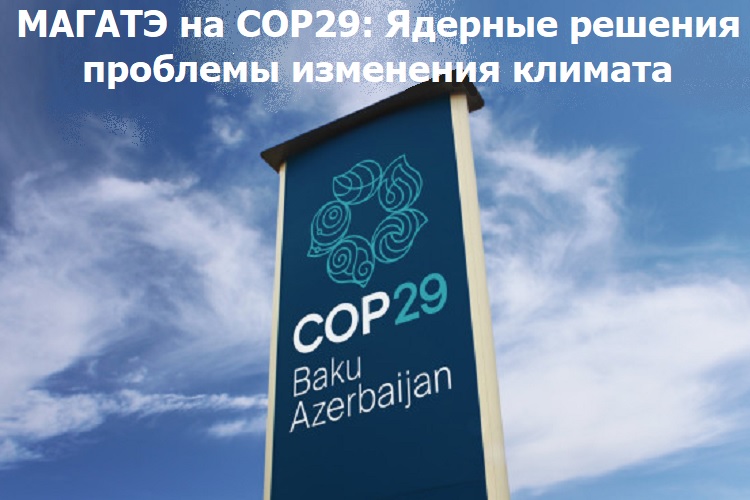   COP29:     