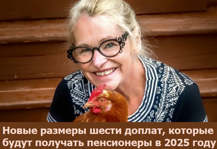    ,      2025 