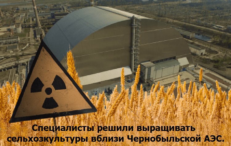 ����������� ������ ���������� ��������������� ������ ������������� ���.