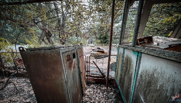 ���� ������������ ������� 40 ��� ������ ����� ������ �� ����  � �����, ������� �������� ������������� ����