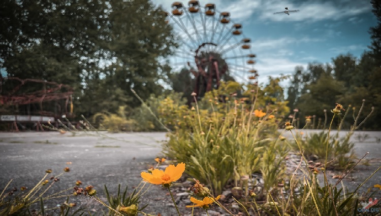 ���� ������������ ������� 40 ��� ������ ����� ������ �� ����  � �����, ������� �������� ������������� ����