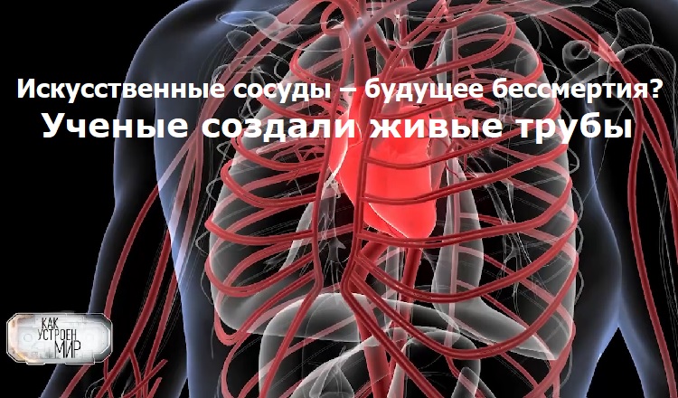 ������������� ������ � ������� ����������? ������ ������� ����� �����