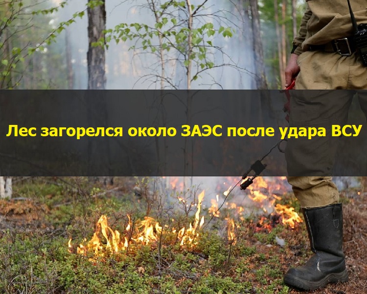 ��� ��������� ����� ���� ����� ����� ���