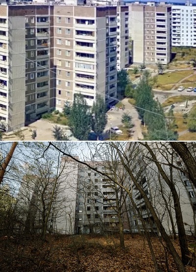 ���  ��� - �� ���������� � 12. ��� 1986-�.