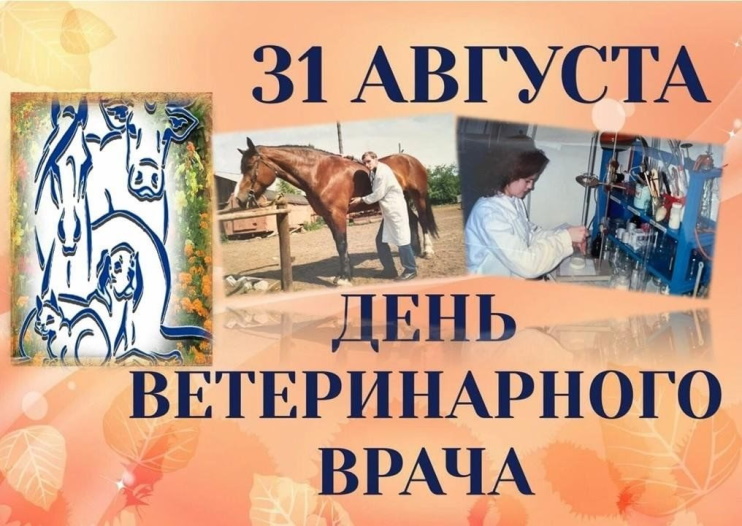 ���� ������������� ��������� (���� ����������)