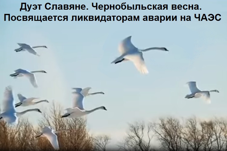 ���� �������. ������������� �����. ����������� ������������ ������ �� ����