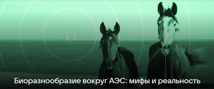 ��������������� ������ ���: ���� � ����������