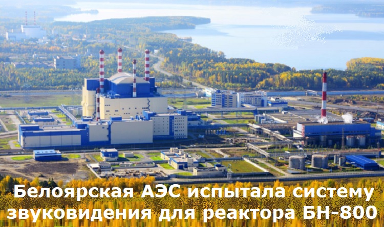 ���������� ��� �������� ������� ������������ ��� �������� ��-800