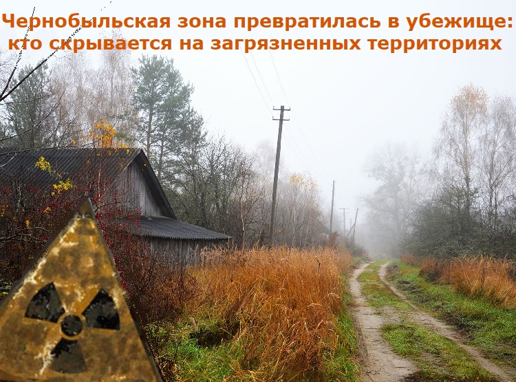 ������������� ���� ������������ � �������: ��� ���������� �� ������������ �����������