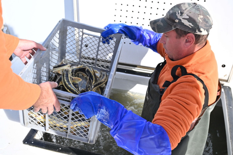 ���������� ��� ��������� � �����-���������� ����� 1 500 ������ �������� �����