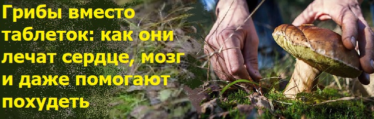 ����� ������ ��������: ��� ��� ����� ������, ���� � ���� �������� ��������