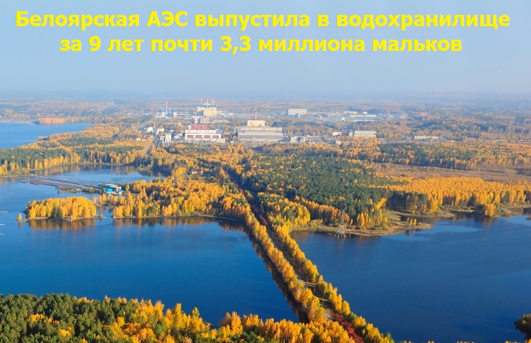 ���������� ��� ��������� � ������������� �� 9 ��� ����� 3,3 �������� �������