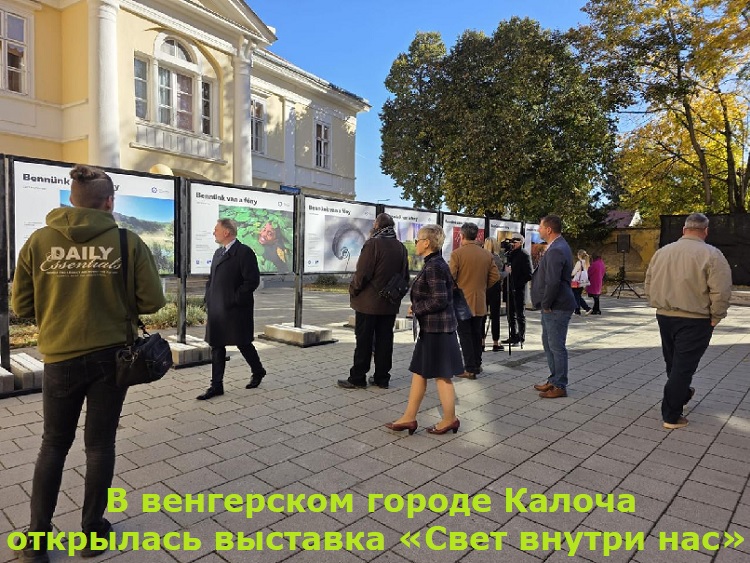 � ���������� ������ ������ ��������� �������� ����� ������ ���