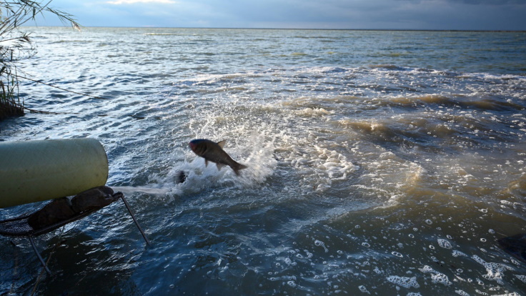 ���������� ��� ��������� ��������� ���������� ������-���������� 2025 ����