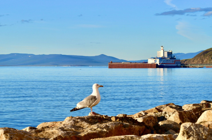 �������� ��� ����������� �������������� ����� �� ������������� ������������