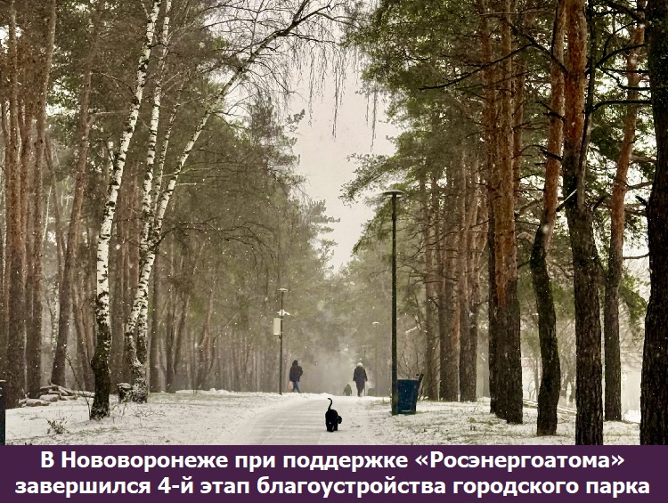 � ������������ ��� ��������� ��������������� ���������� 4-� ���� ��������������� ���������� �����