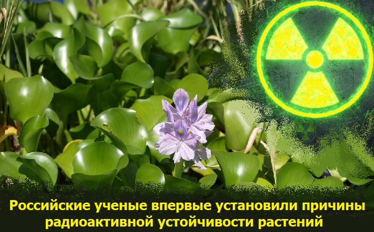 ���������� ������ ������� ���������� ������� ������������� ������������ ��������