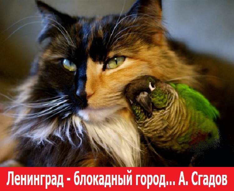 ��������� - ��������� ����� �. ������