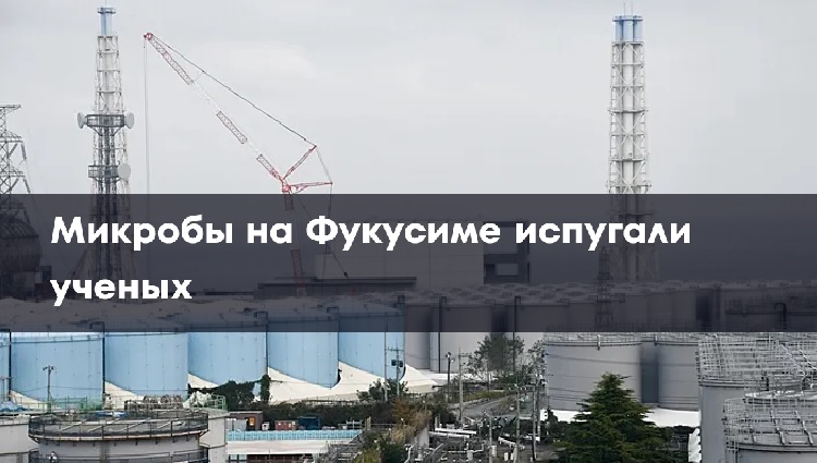 ������� �� �������� �������� ������