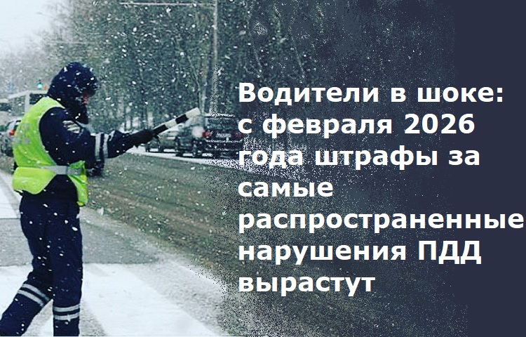 �������� � ����: � ������� 2026 ���� ������ �� ����� ���������������� ��������� ��� ��������