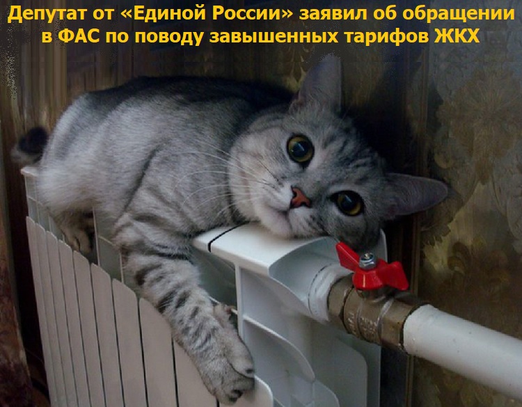 ������� �� ������� ������ ������ �� ��������� � ��� �� ������ ���������� ������� ���