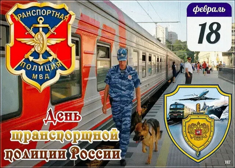 ���� ������������ ������� ������