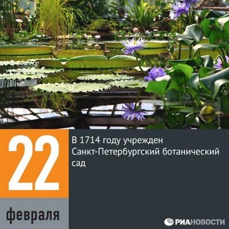 22 ������� 1714 ���� � ��������������� ������������ ����������� ������ (������ � ������������ ��� ������������� ��������� ��. �. �. �������� ���).