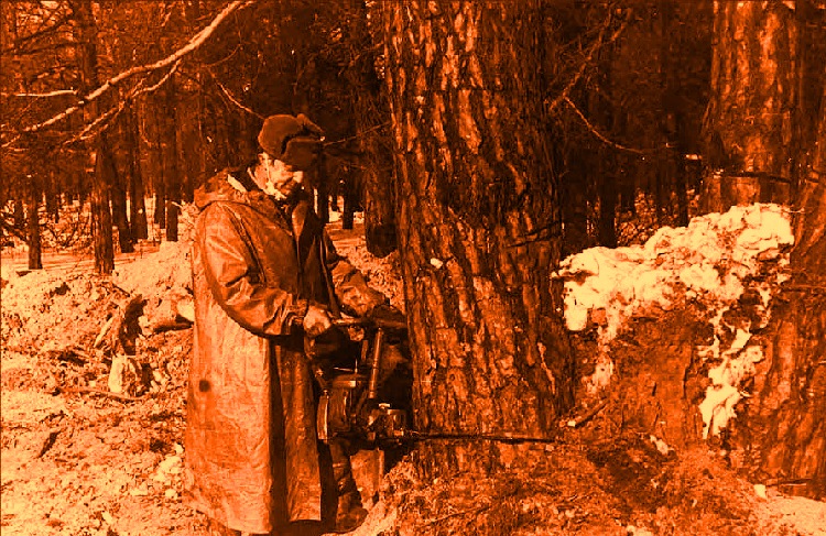 ����� ������ �� ���, ��������. ��������� ������