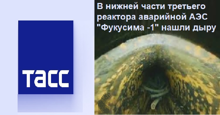 � ������ ����� �������� �������� ��������� ��� "��������-1" ����� ����