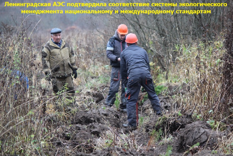 ������������� ��� ����������� ������������ ������� �������������� ����������� ������������� � �������������� ����������