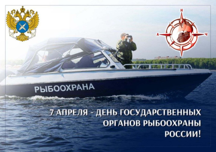 ���� ��������������� ������� ���������� 