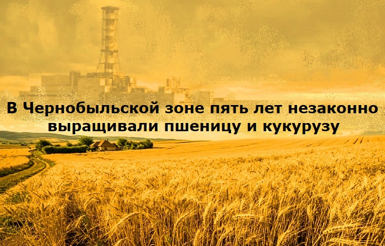 � ������������� ���� ���� ��� ��������� ���������� ������� � ��������