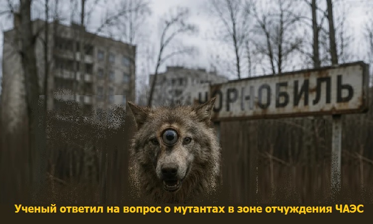 ������ ������� �� ������ � �������� � ���� ���������� ������������� ���